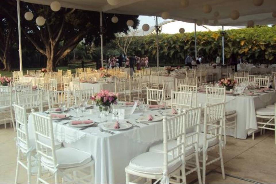 Amora Eventos