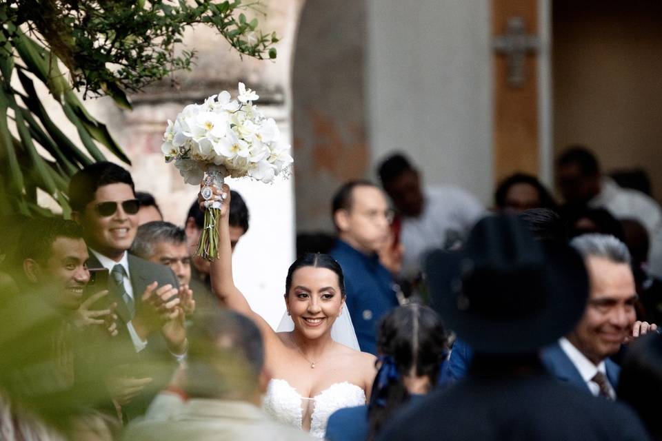 Novia