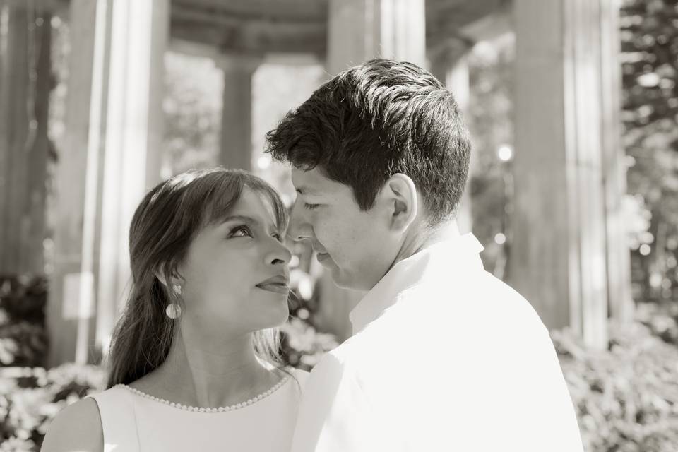 F&J SDT WEDD