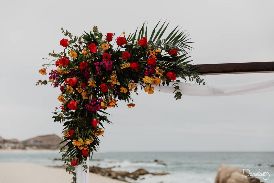 Hermosas flores