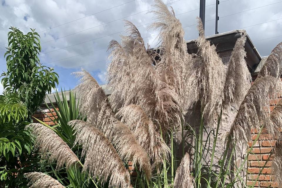 Hermosa naturaleza