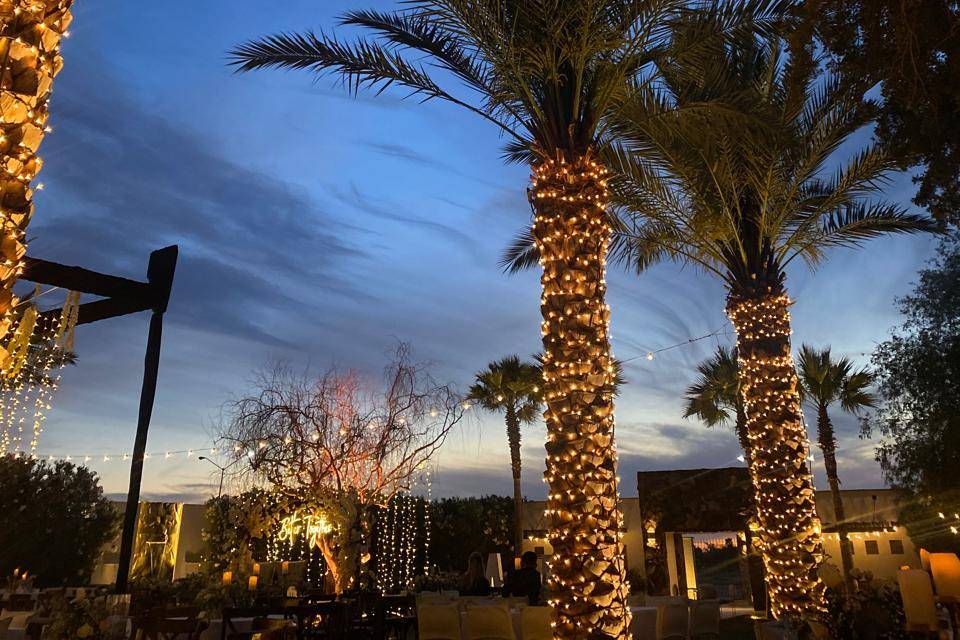 Jardín los Laureles