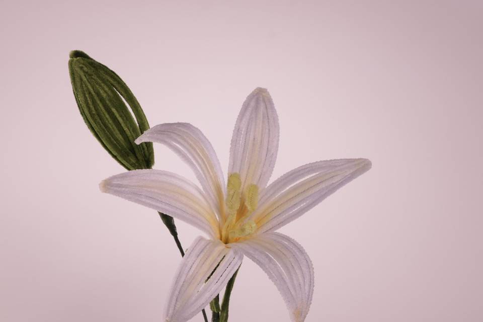 Azucena