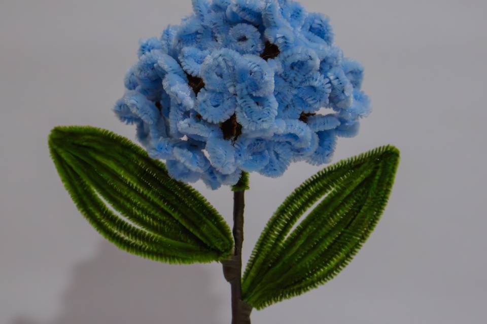 Hortensia