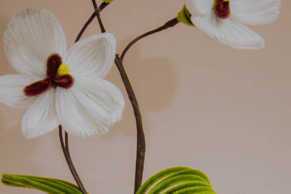 Maceta con flor blanca