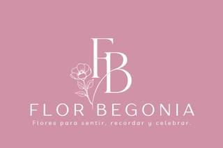 Flor Begonia