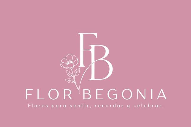 Flor Begonia