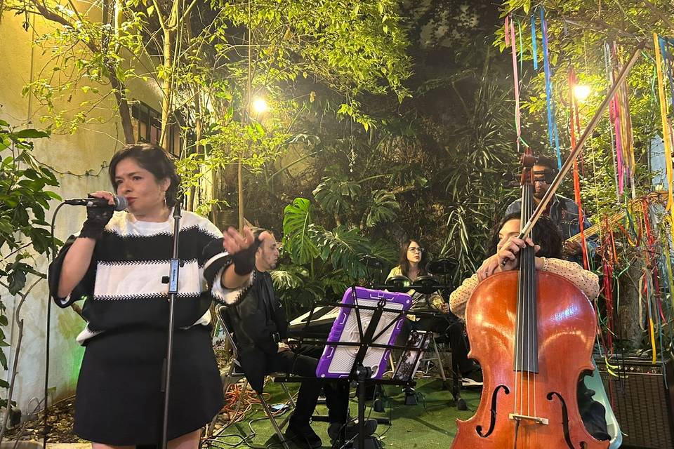Concierto privado