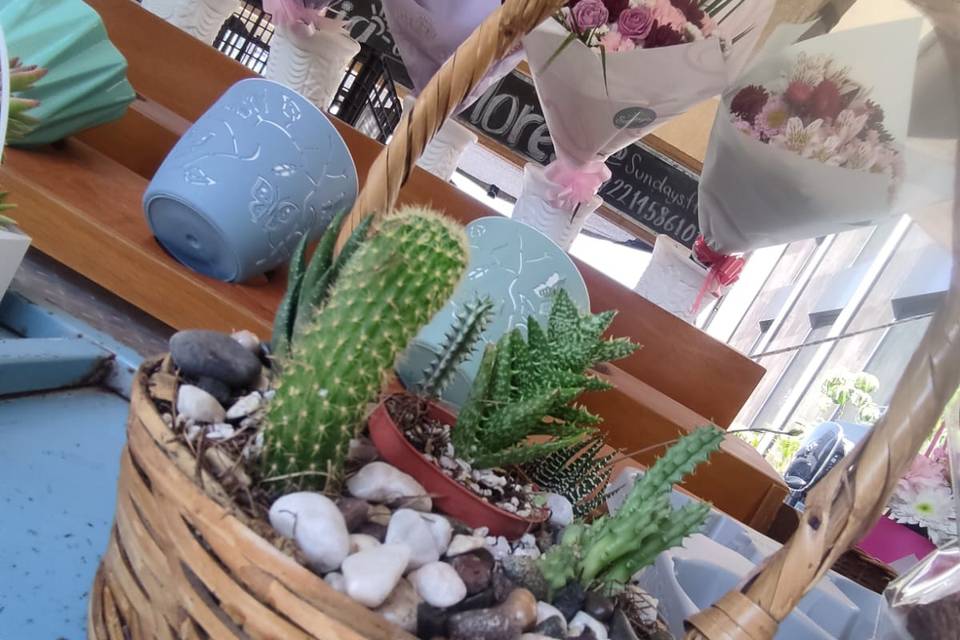 Canasta de cactus