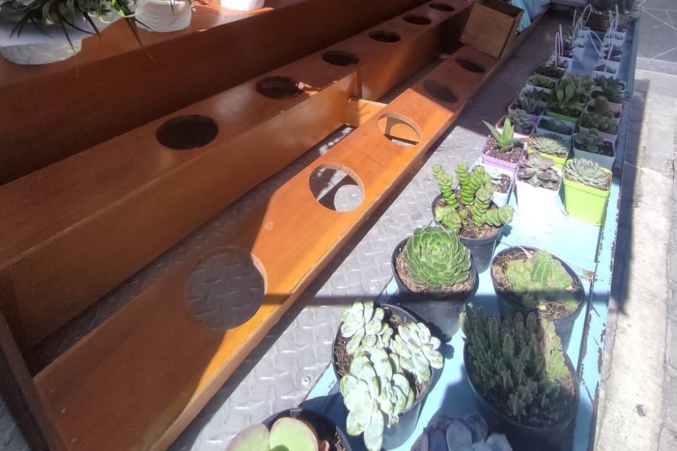 Variedad de ramos