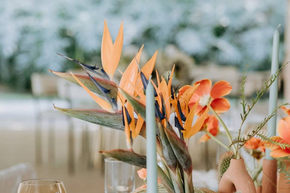 Montaje de boda en Vandú