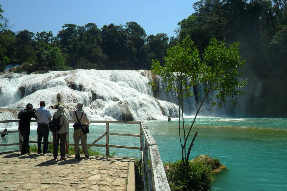 Agua azul