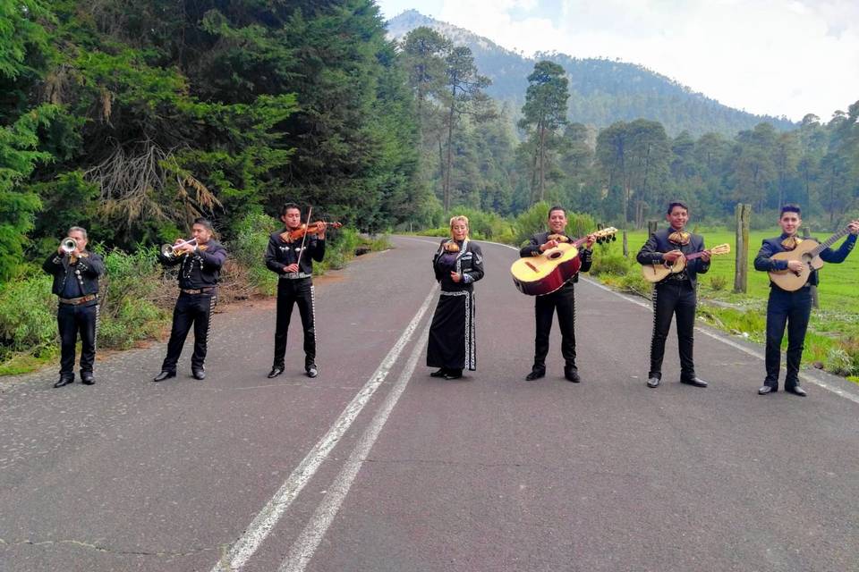 Mariachi Estrellas de Coyoacán