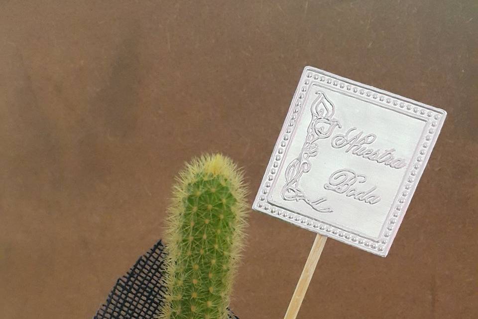 Cactus