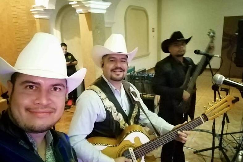 Trabajando