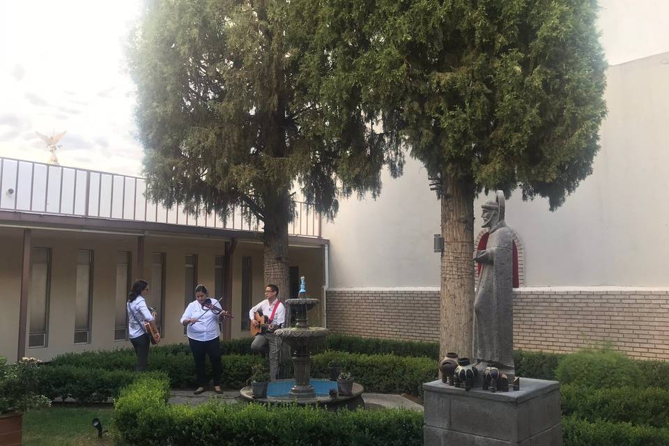 San Francisco de Asís