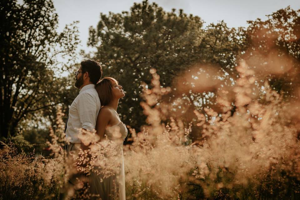 Trash the dress