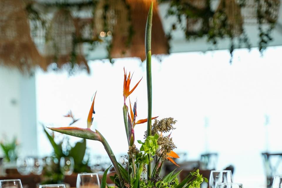 Boda Tropical3