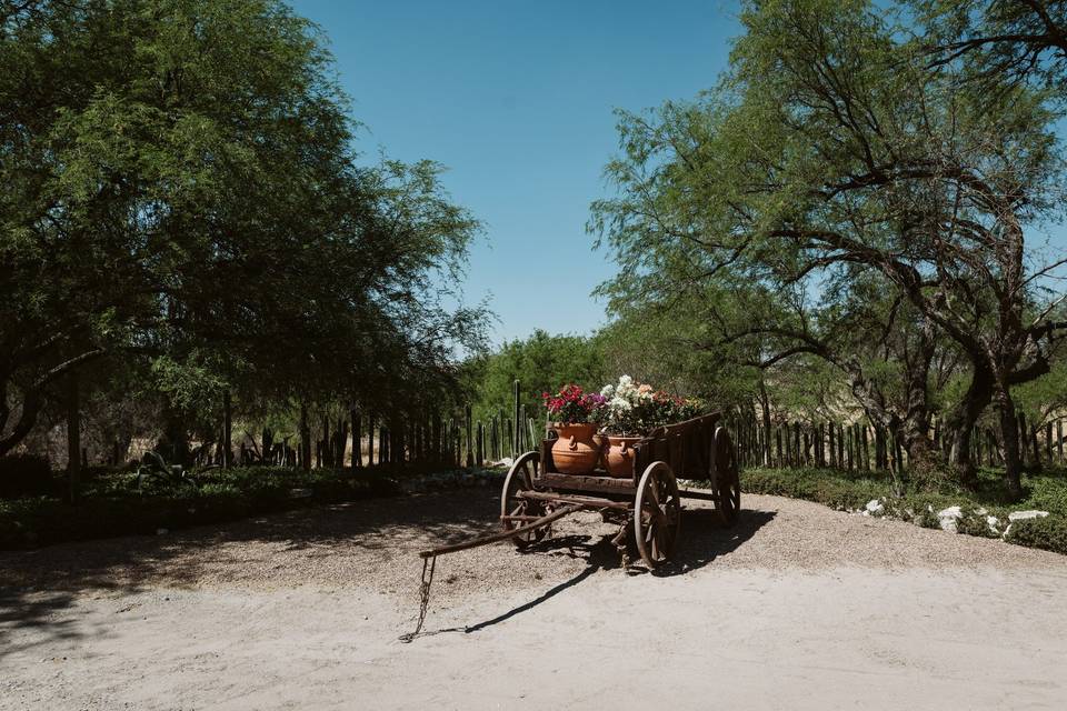 La Petaca