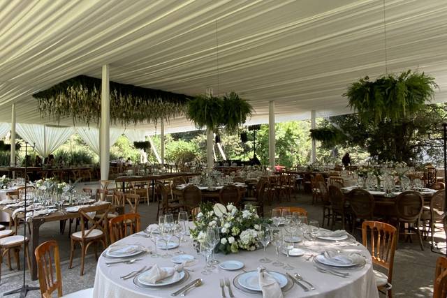 Bodas