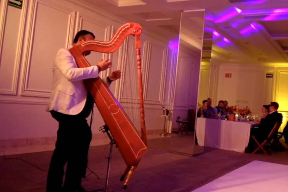 Arpista versátil