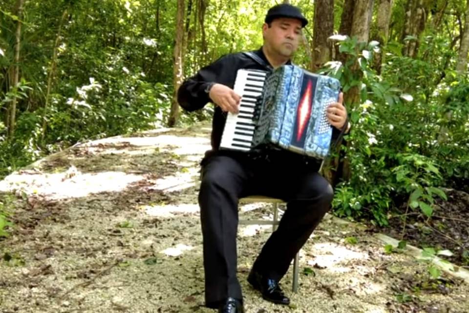 Acordeonista versátil