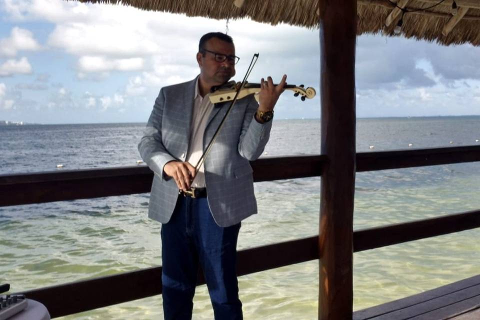Violinista versátil