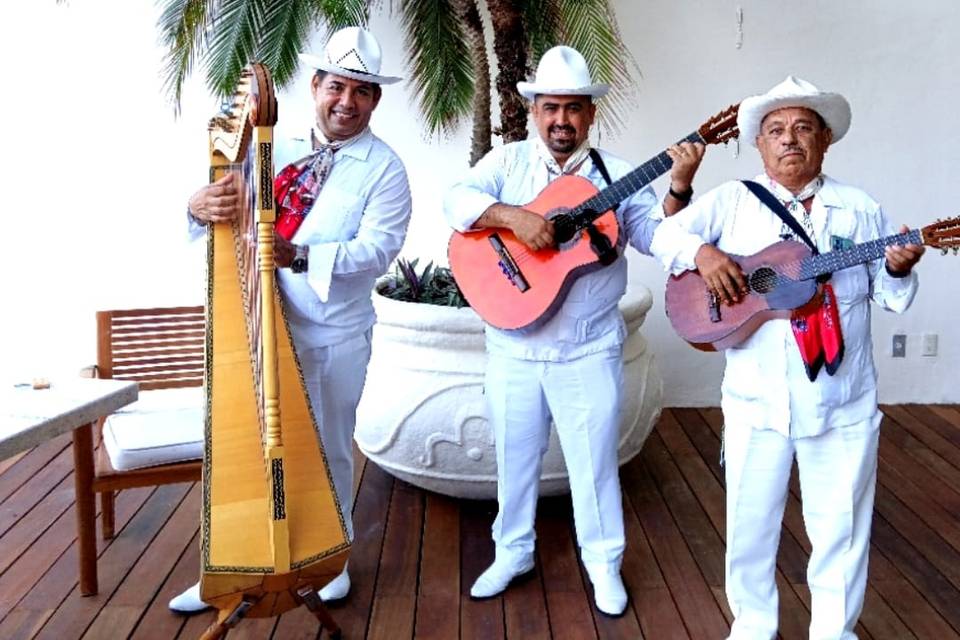 Trio jarocho