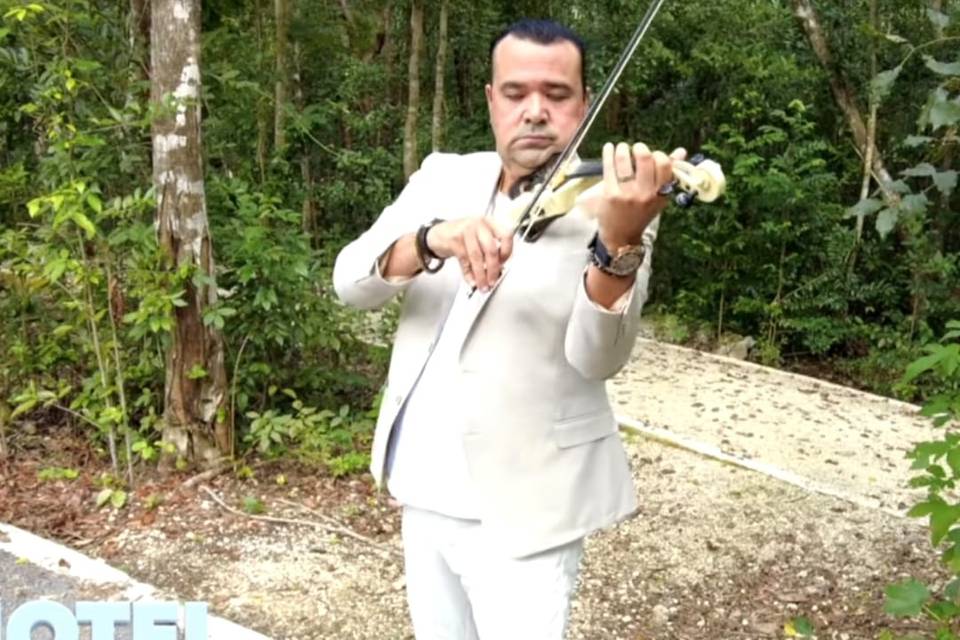 Violinista versátl