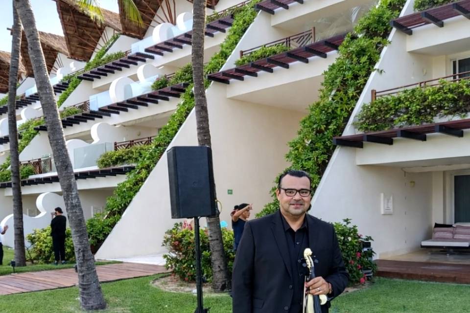 🎻✨ Violín que enamora