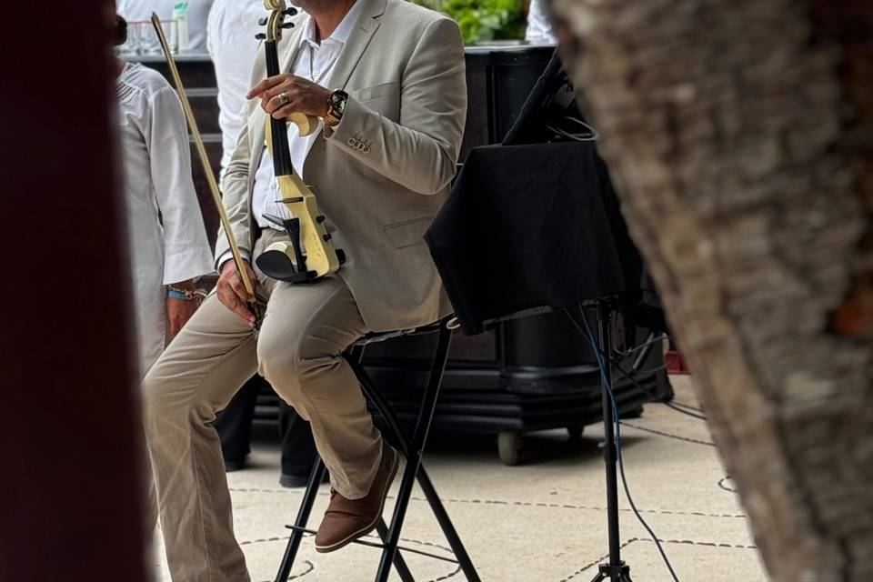 Elegancia de violín en tu boda