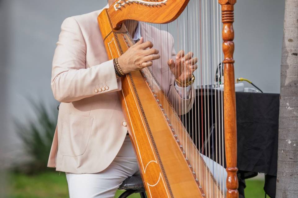 Arpa en ceremonia y cóctel