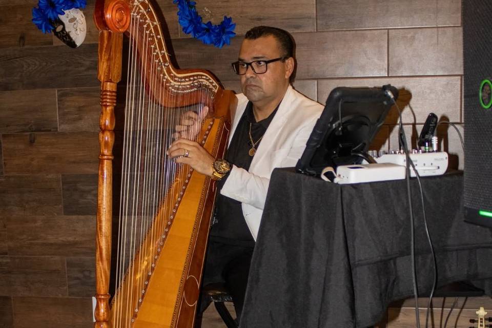 Arpa Para Ceremonias Y Cóctele