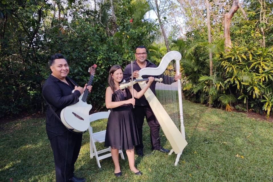 Trio De Cuerdas