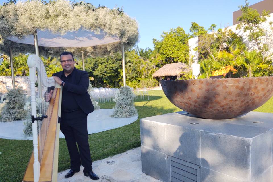 Arpa en boda