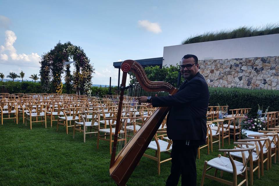 Arpista Versátil en Boda