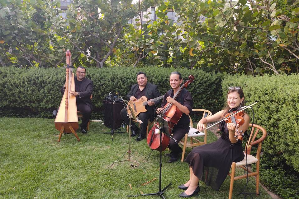 Cuarteto de Cuerdas