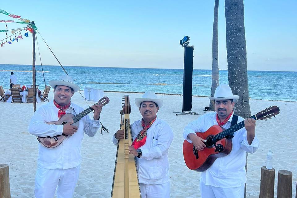 Trio Jarocho