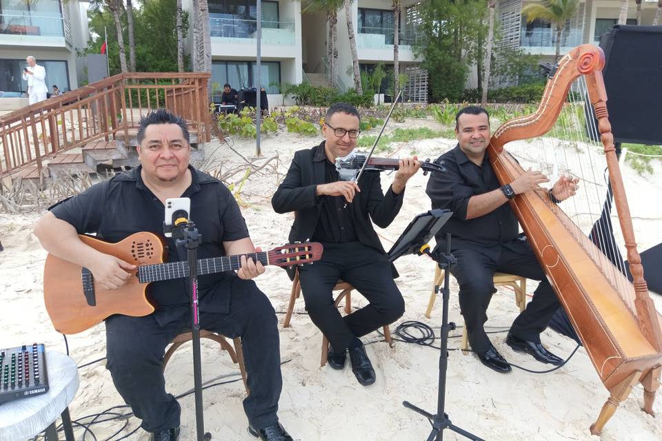 Trio de Cuerdas