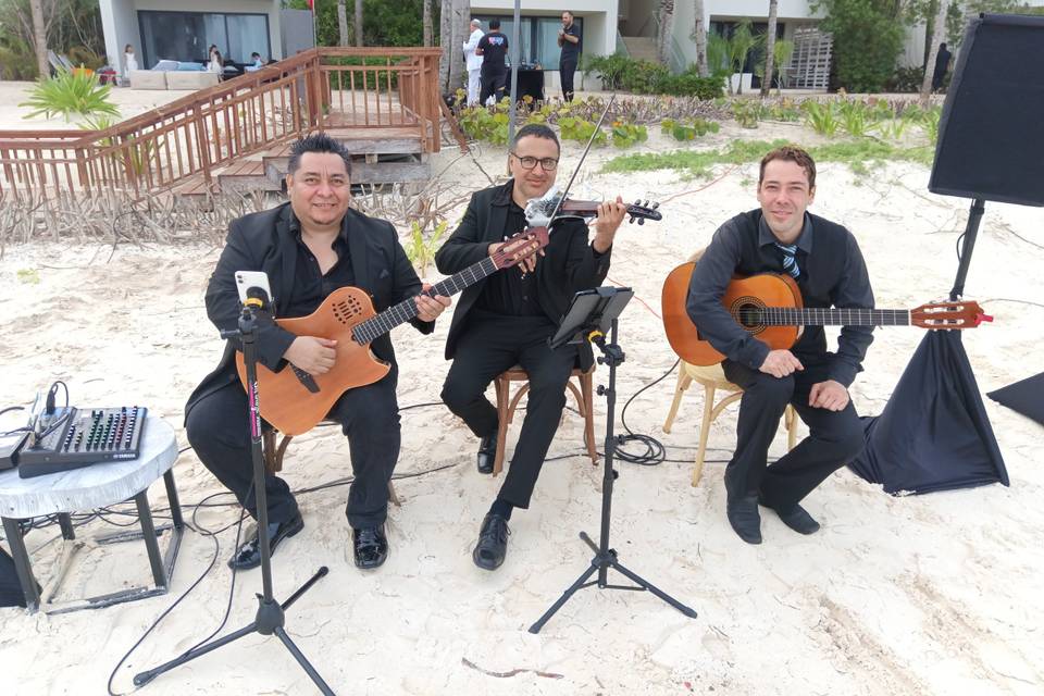 Trio de Cuerdas