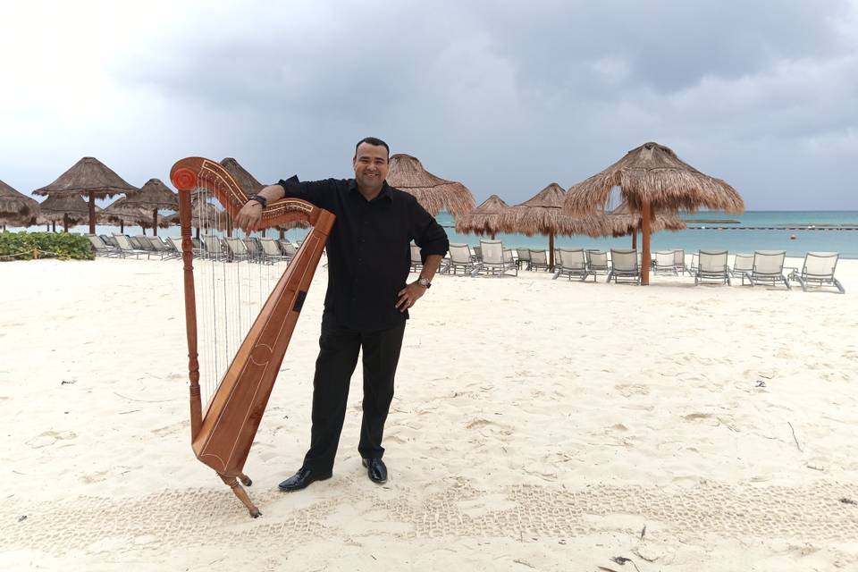 Arpa Boda en la Playa