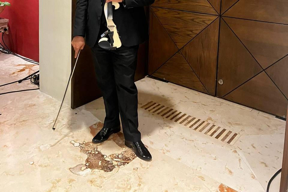 Violinista Versátil