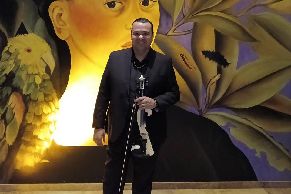 Violinista Versátil
