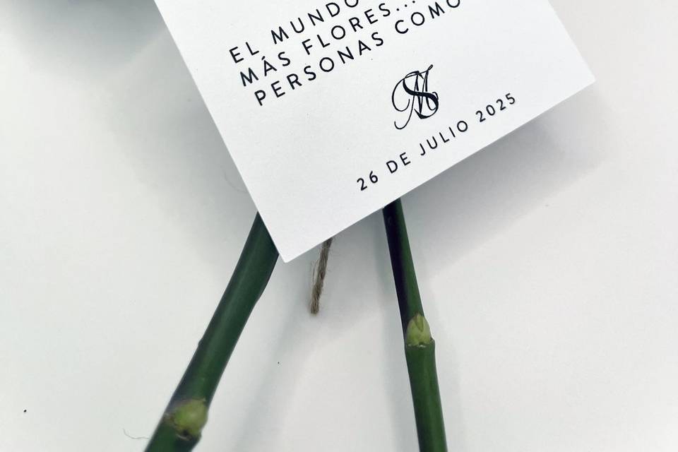 Tags detalles
