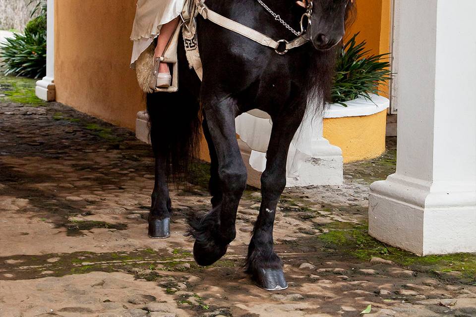 Rancho Cuernavaca