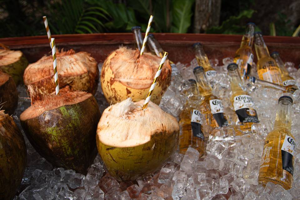 Bebidas