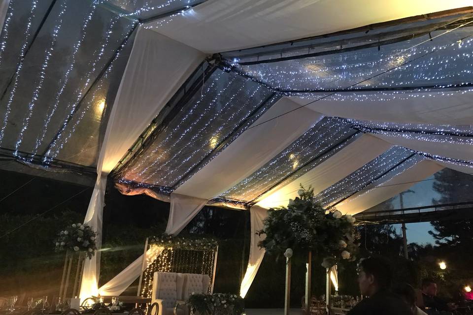 Carpa transparente