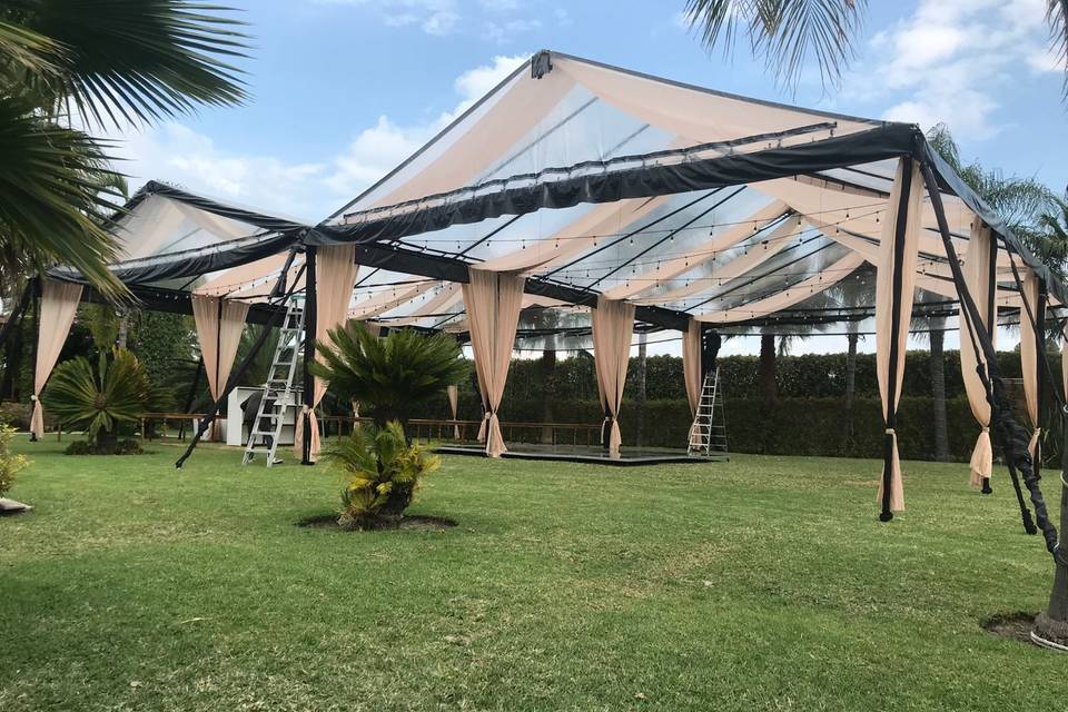 Carpa transparente en beige.