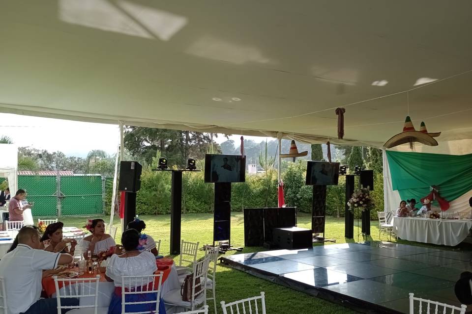 Audio profesional
