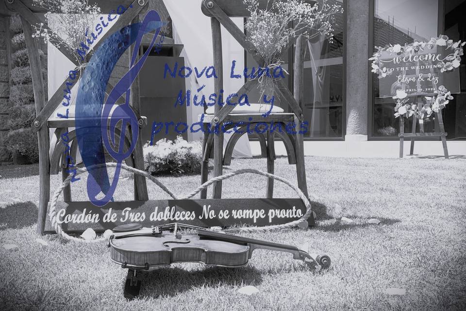 Creando momentos inolvidables